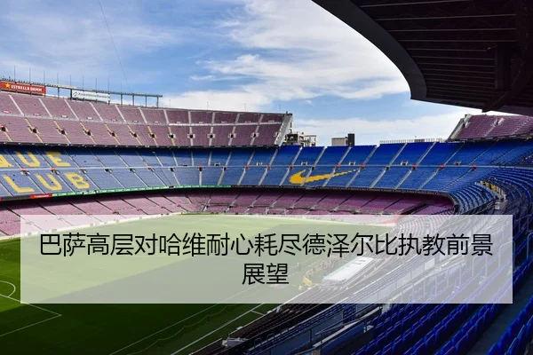 ba-sa-gao-ceng-dui-ha-wei-nai-xin-hao-jin-de-ze-er-bi-zhi-jiao-qian-jing-zhan-wang-2-173.jpg