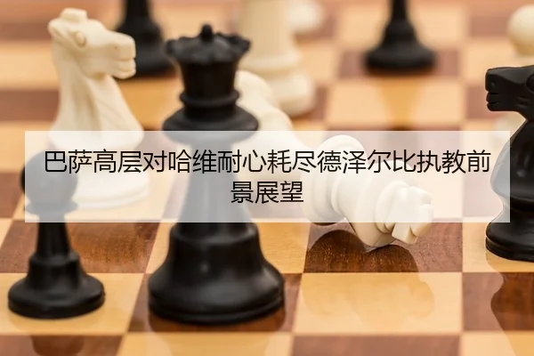 ba-sa-gao-ceng-dui-ha-wei-nai-xin-hao-jin-de-ze-er-bi-zhi-jiao-qian-jing-zhan-wang-1-106.jpg